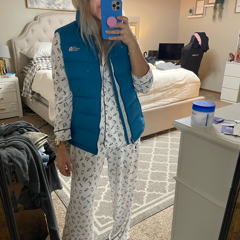 The North Face Nuptse 700 Teal Puffer Vest - Picture 6 of 16